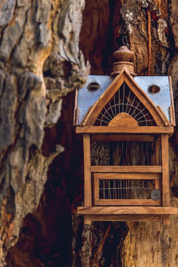 Traditional Guesthouses Xenofon Drymon Luaran gambar